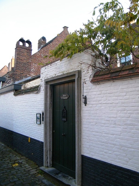 florastappers gent bij nacht