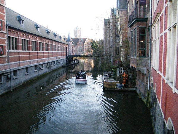 florastappers gent bij nacht