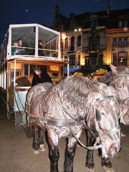 florastappers gent bij nacht