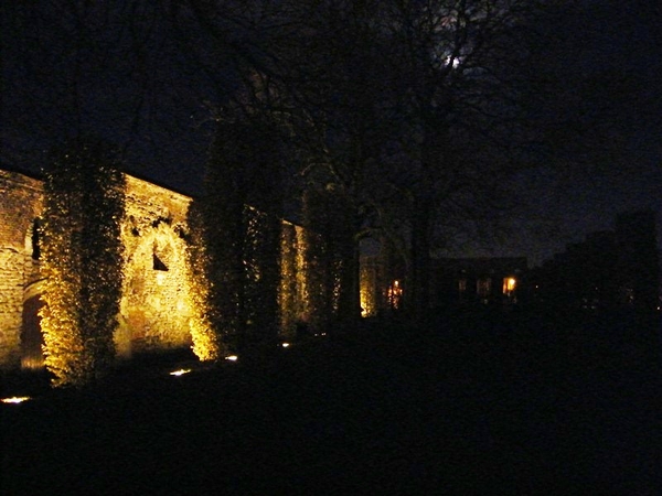 florastappers gent bij nacht