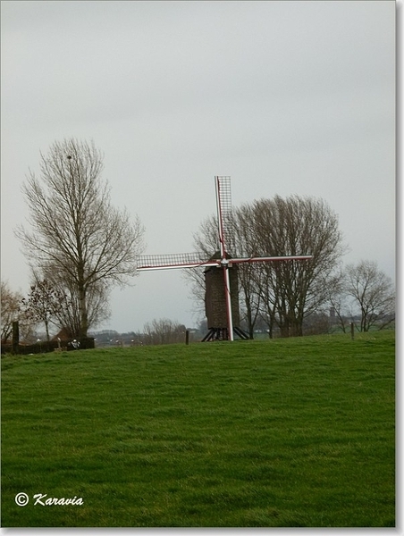 Poelberg molen