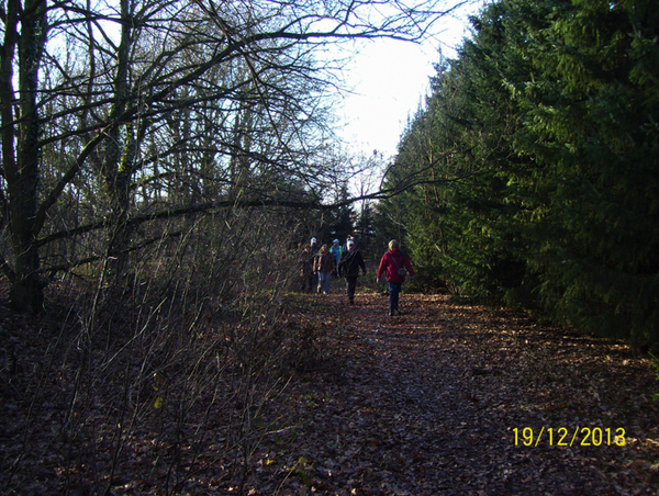 Wandeling naar Suske Wiet - 19 december 2013