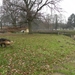 lekker even rennen in het park