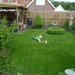 Gras 013