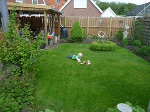 Gras 013