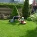 Gras 015