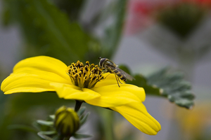 IMG_0014 (4)