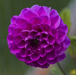 T20125_99_2313-1