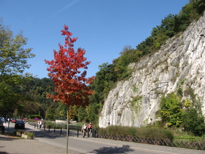 september 2008 022