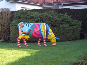 Leuke koe in den hof