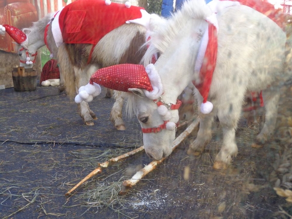 Mini pony's in kersttenue