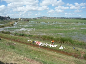 1a Antananarivo _P1170513