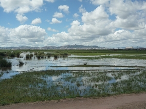 1a Antananarivo _P1170515