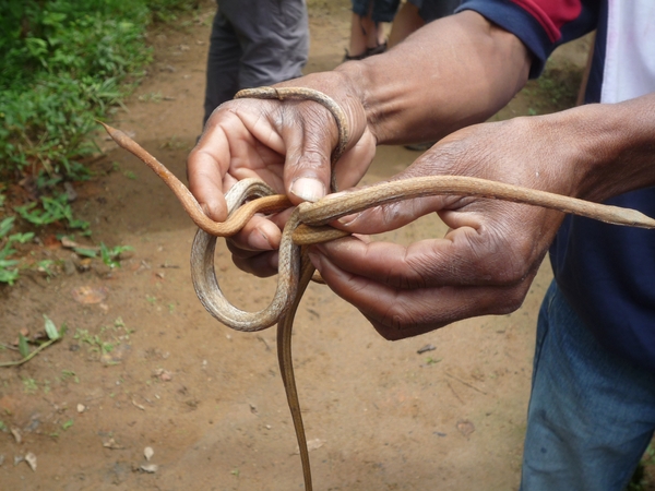2f Pyereras reptielen park _P1170777