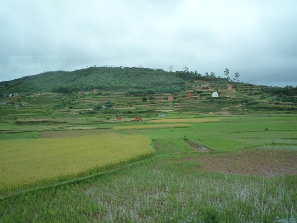 2g Antananarivo, oost _P1170847