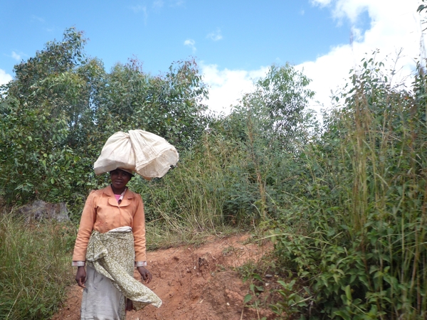 3c Route Nationale 7, zuid _P1170964