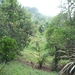 3e Ranomafama, arboretum _P1180117