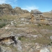 6b Isola NP _P1180677