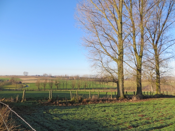 2013-12-29 Zottegem 05