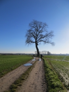 2013-12-29 Zottegem 21