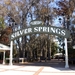 Silver Springs