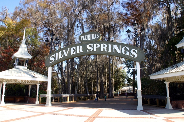 Silver Springs