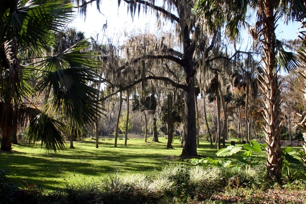 Florida208