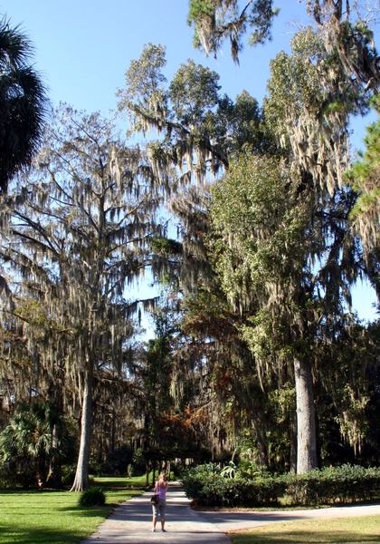 Florida209