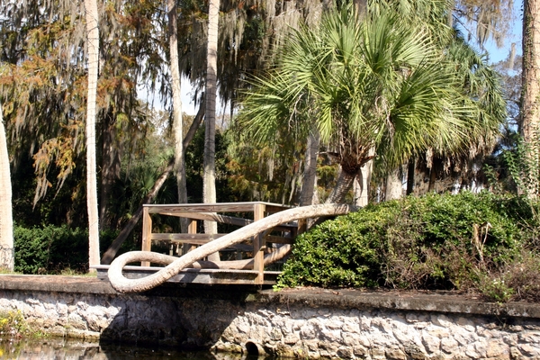 Florida211