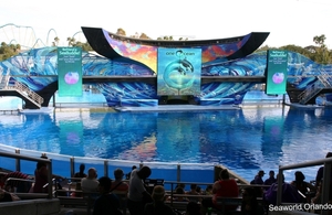 Seaworld in Orlando