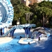 Seaworld - Dolfinarium