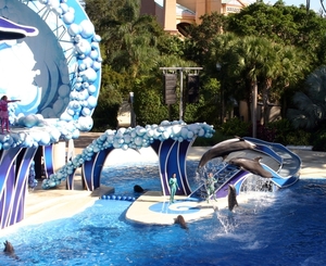 Seaworld - Dolfinarium