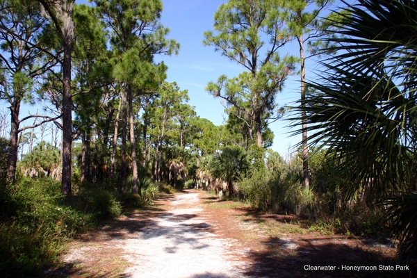 Honeymoon State Park in Clearwater
