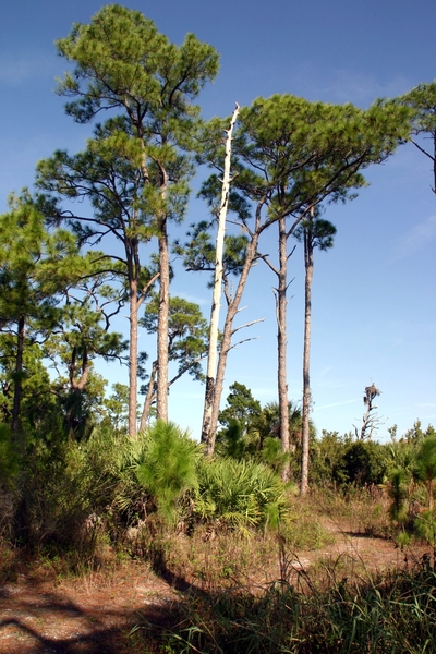 Honeymoon State Park