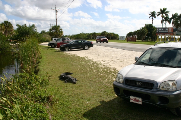 Ik kom even van de zon genieten !!!