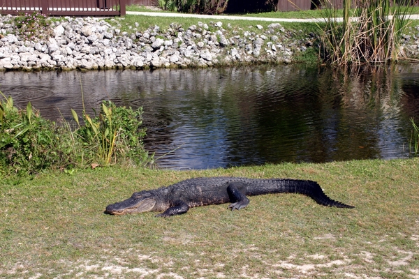 Al zo geen kleintje niet meer