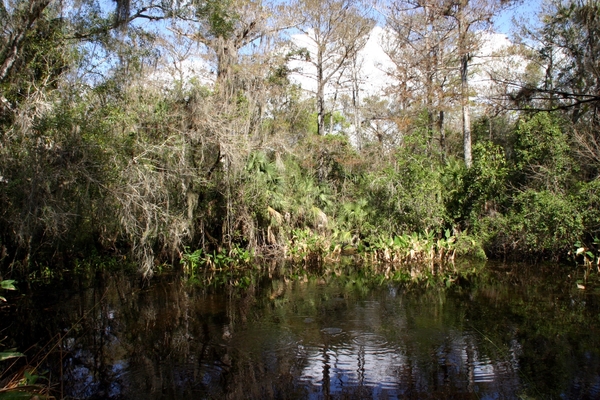Florida420