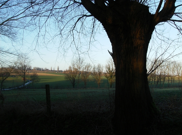 Zottegem December 2013 004