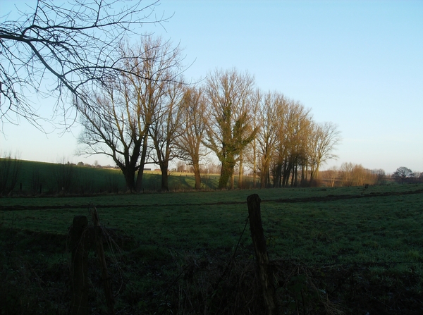 Zottegem December 2013 005