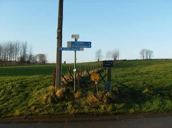 Zottegem December 2013 007