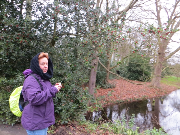 2013-12-30 Kortrijk 04