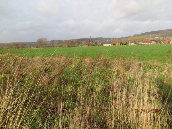 2014-01-03 Ronse 02