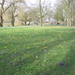 Ieper 23 februari Nationale Wandeldag