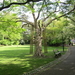 27april Watermaal-Bosvoorde   Zoni�nmars