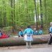 27april Watermaal-Bosvoorde   Zoni�nmars