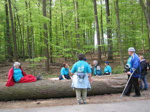 27april Watermaal-Bosvoorde   Zoninmars