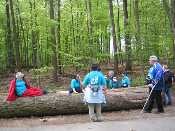27april Watermaal-Bosvoorde   Zoninmars