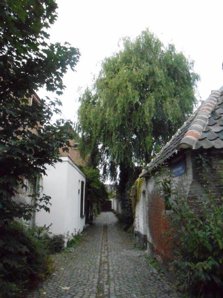 Mechelen 5 oktober  Manneblusserswandeling