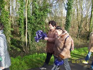 Wandelen langs de vlietjes - 2 januari 2014