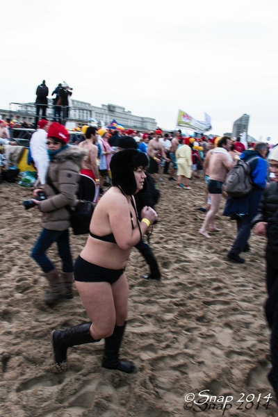 Nieuwjaars duik -3388